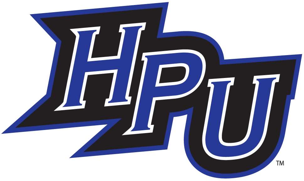 High Point Panthers 2004-2011 Alternate Logo v4 diy fabric transfer